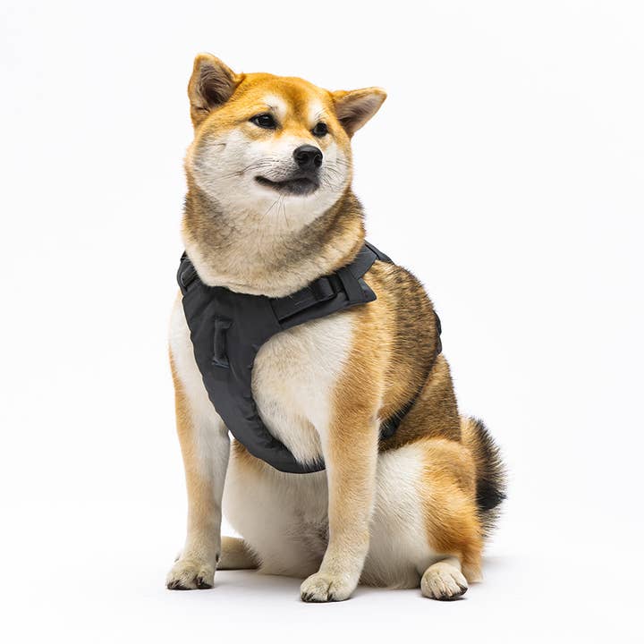 United Pets - Wholesale Pet Leash - Dog - Dog Padded Soft Harness