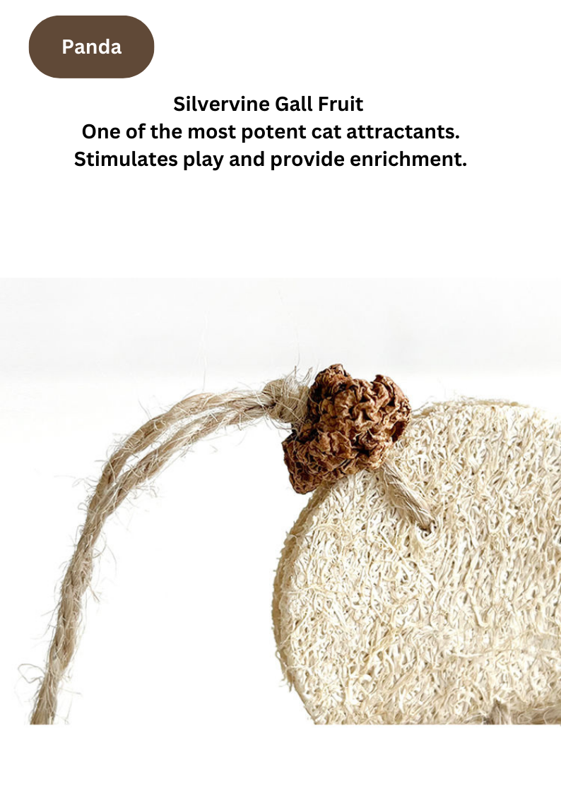 CATWANT - Vente Jouet – chat - Jouets Silvervine Tumbler - Modèles Canary et Panda1