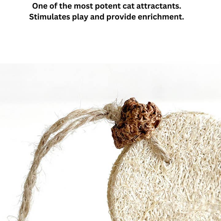 CATWANT – Engroshandel Legetøj - Kat – Silvervine Tumbler - Kanarie/ Panda1