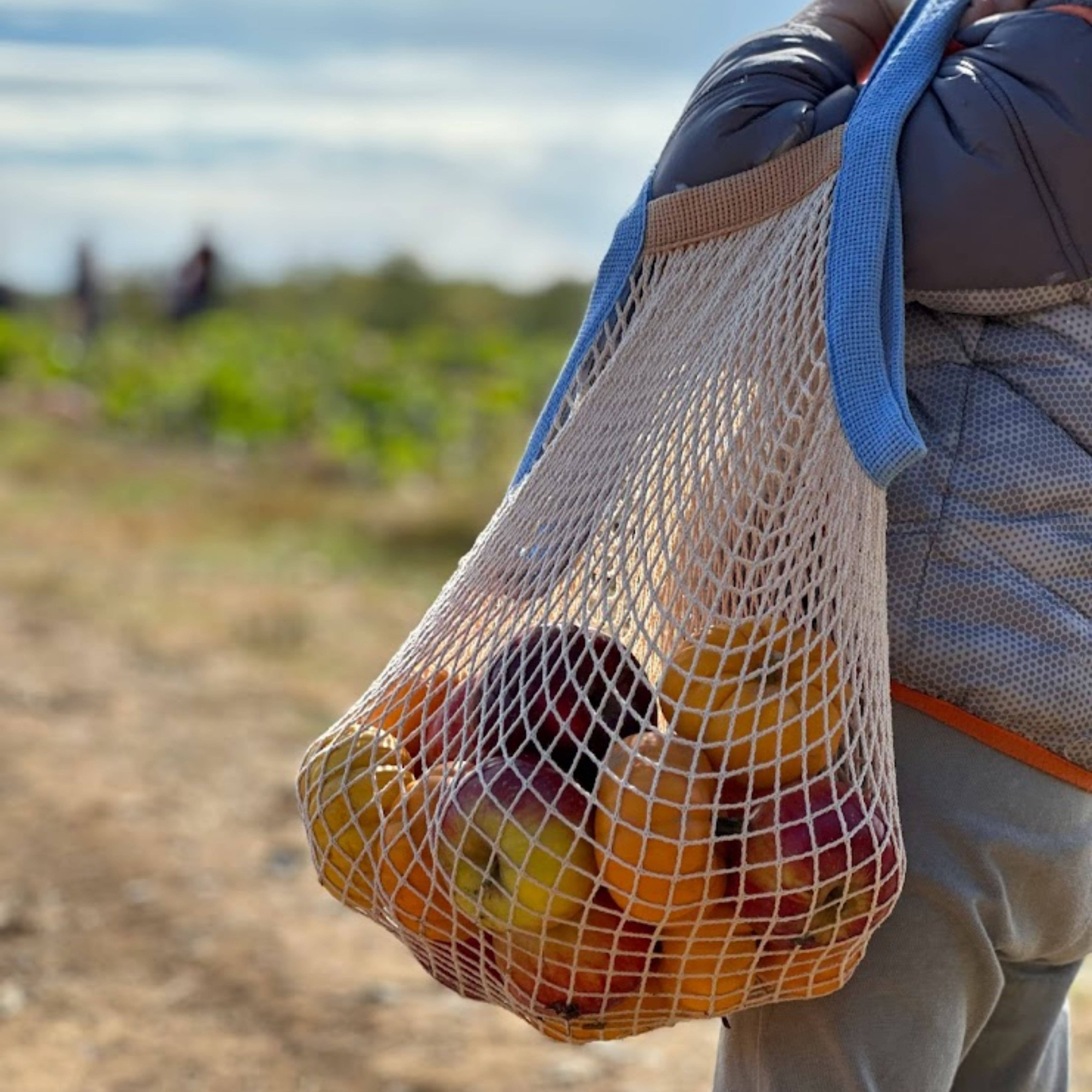 the french market bag two tone for wholesale on Faire6