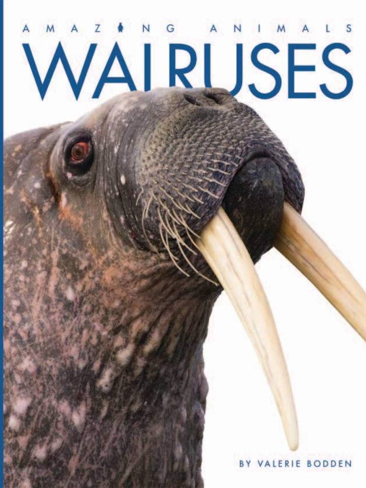 Fantastiska djur: Valrossar för wholesale av The Creative Company