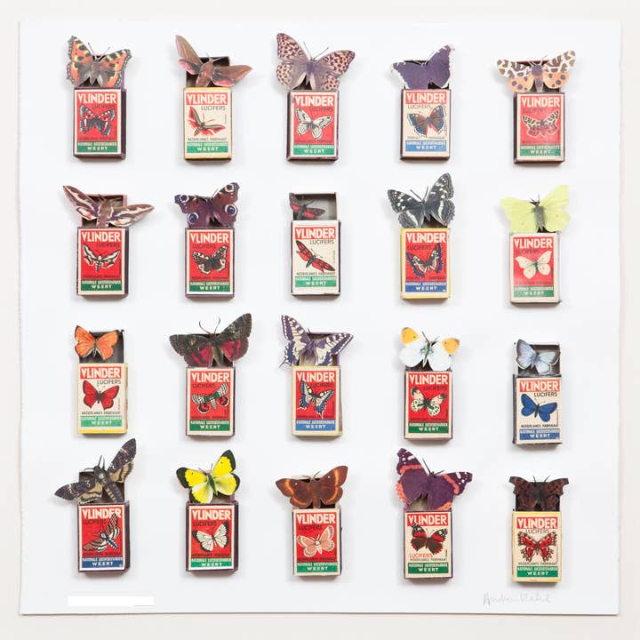 Butterflies And Moths for wholesale by Andrew Malone artist