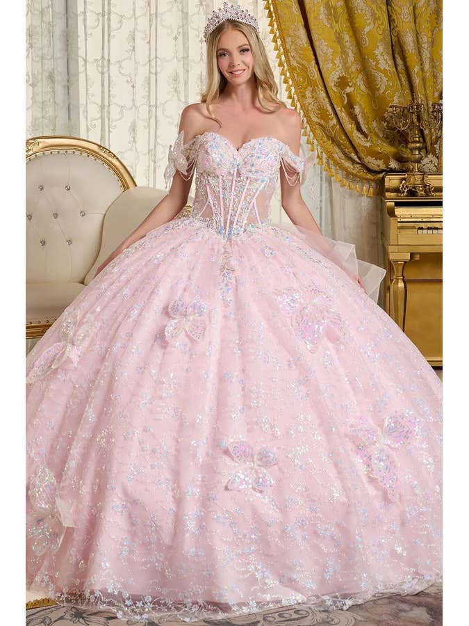 Sweetheart Butterfly Applique Ballgown for wholesale by Babyfox Apparel