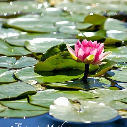 Irish Saying Mother’s Day for wholesale by MUNDO IMAGES