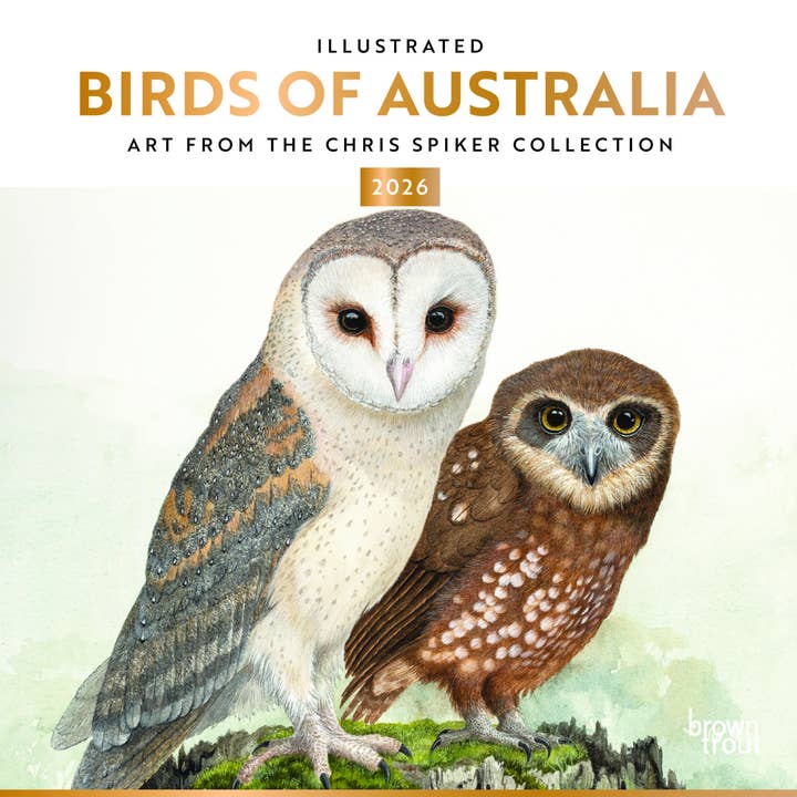 Illustrated Birds of Australia 2026 Square Wall Calendar x50 for wholesale by BrownTrout Publishers