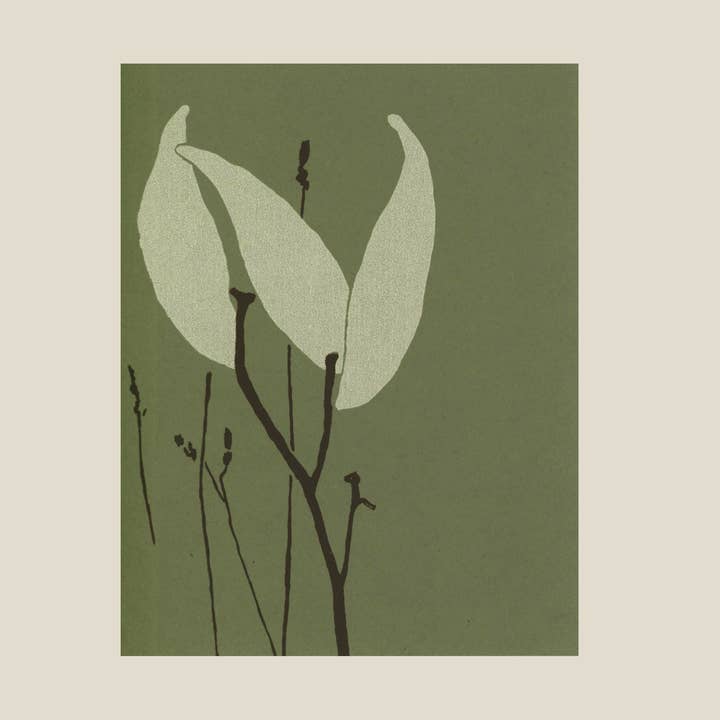 Milkweed pod card for wholesale by Kinaloon