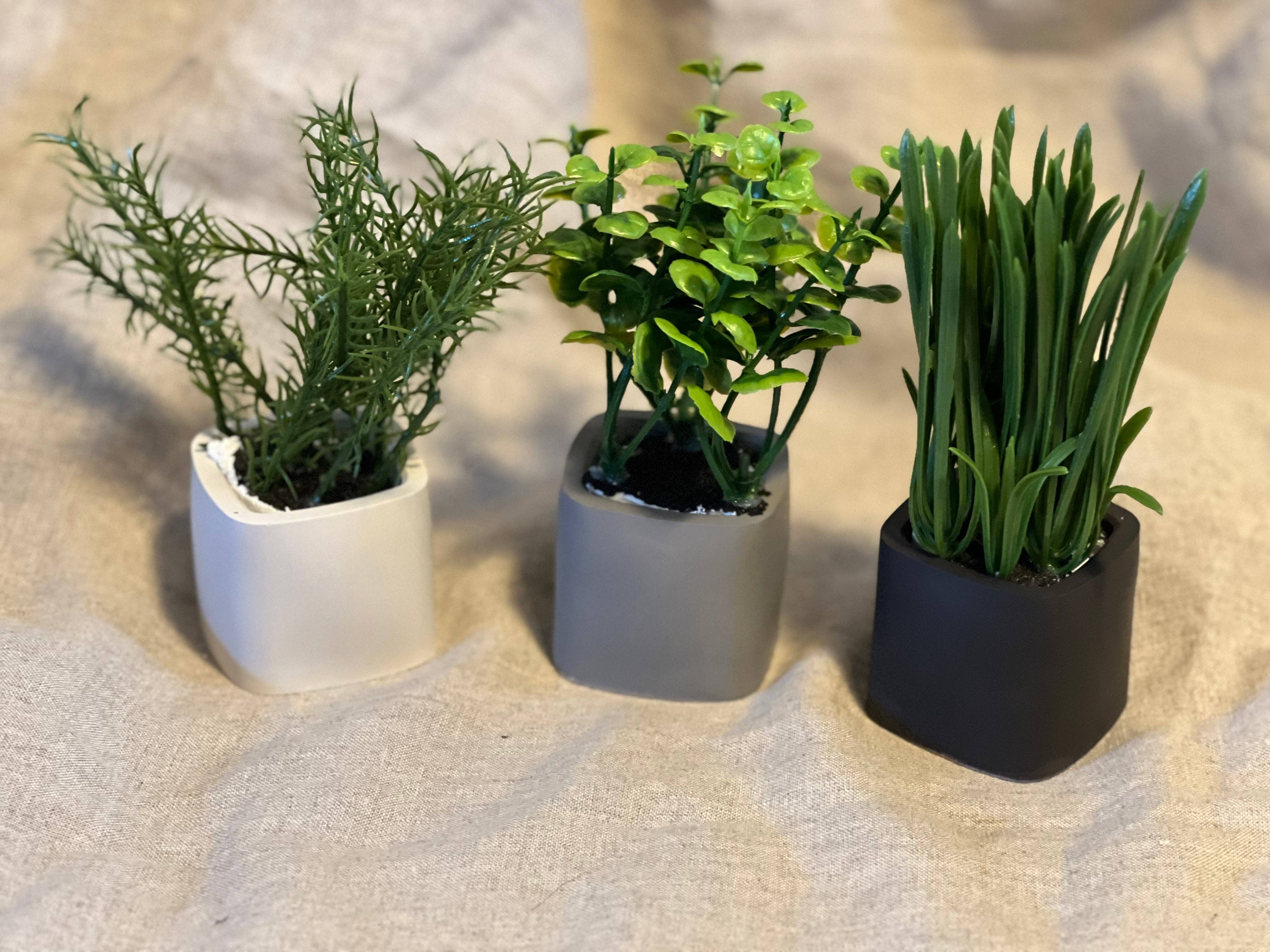 EMB Pretty – wholesale Plant pot – Neutral Mini Succulent/Cactus Pot/Planter5