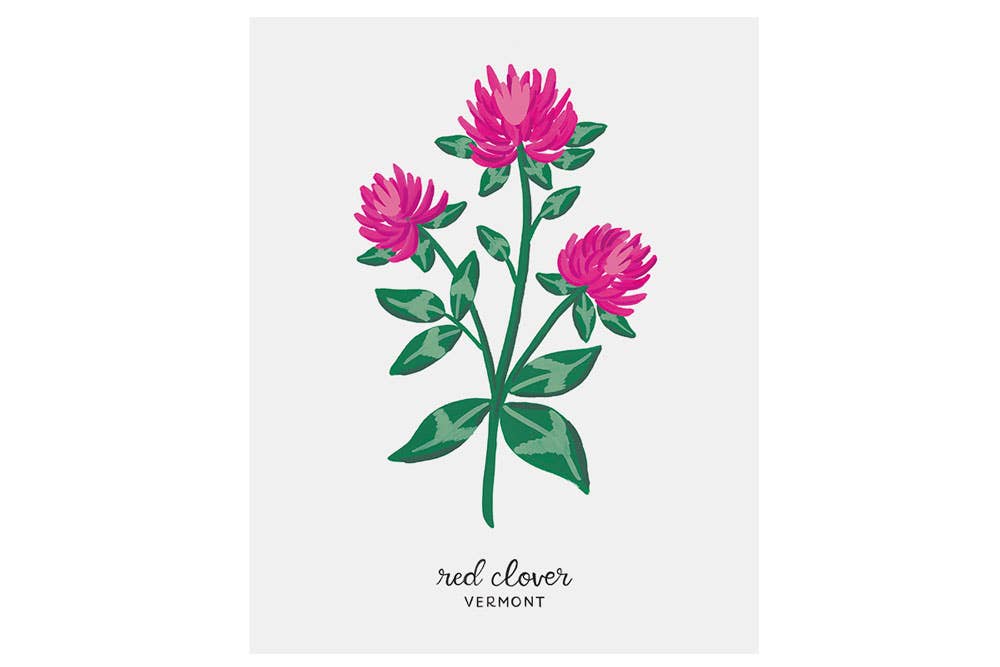 LoveLight Paper - Wholesale Art Print - Vermont Red Clover - State Flower Art Print1