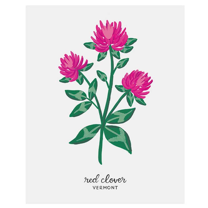 LoveLight Paper - Wholesale Art Print - Vermont Red Clover - State Flower Art Print1