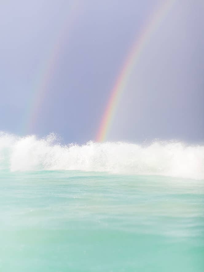 Éclats de mer pour la vente par Love + Water Photography