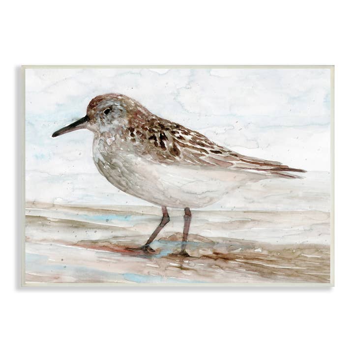Sandpiper Painting Speckled Feather Beach Bird Coast Plaque for wholesale by Stupell Industries