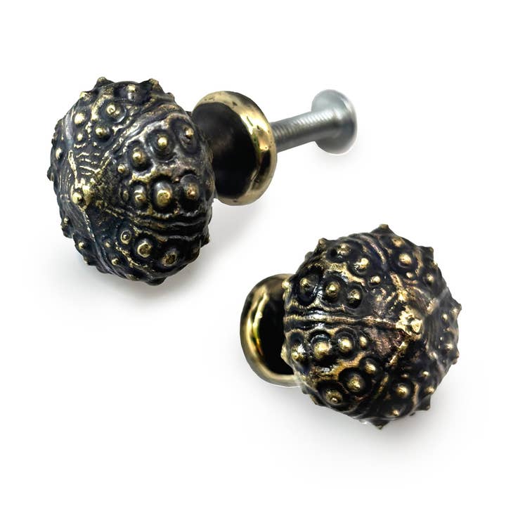 Urchin Knob - Nautical - Gold Brass for wholesale by Perry Gargano
