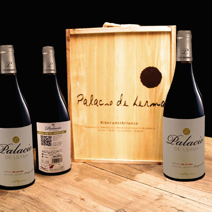 Bodega Palacio de Lerma - Wholesale Champagne/Sparkling Wine - Lerma Palace Oak4