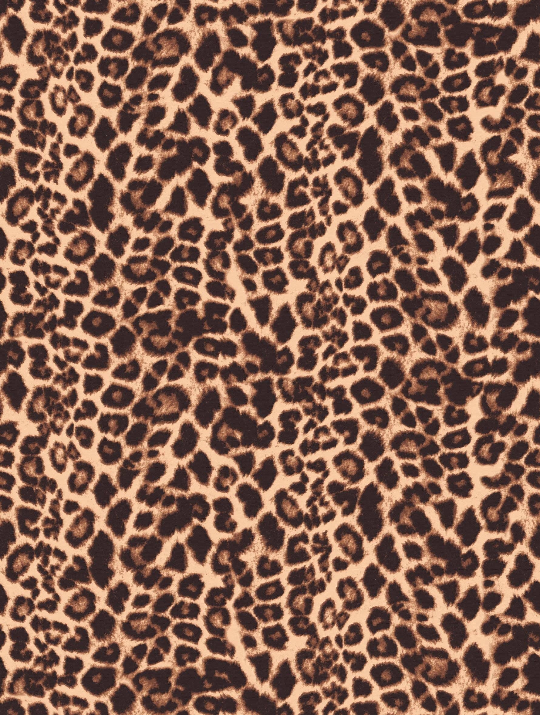 Ninky London – wholesale Swim bottoms – Women's – The Ruched Bikini Bottoms2