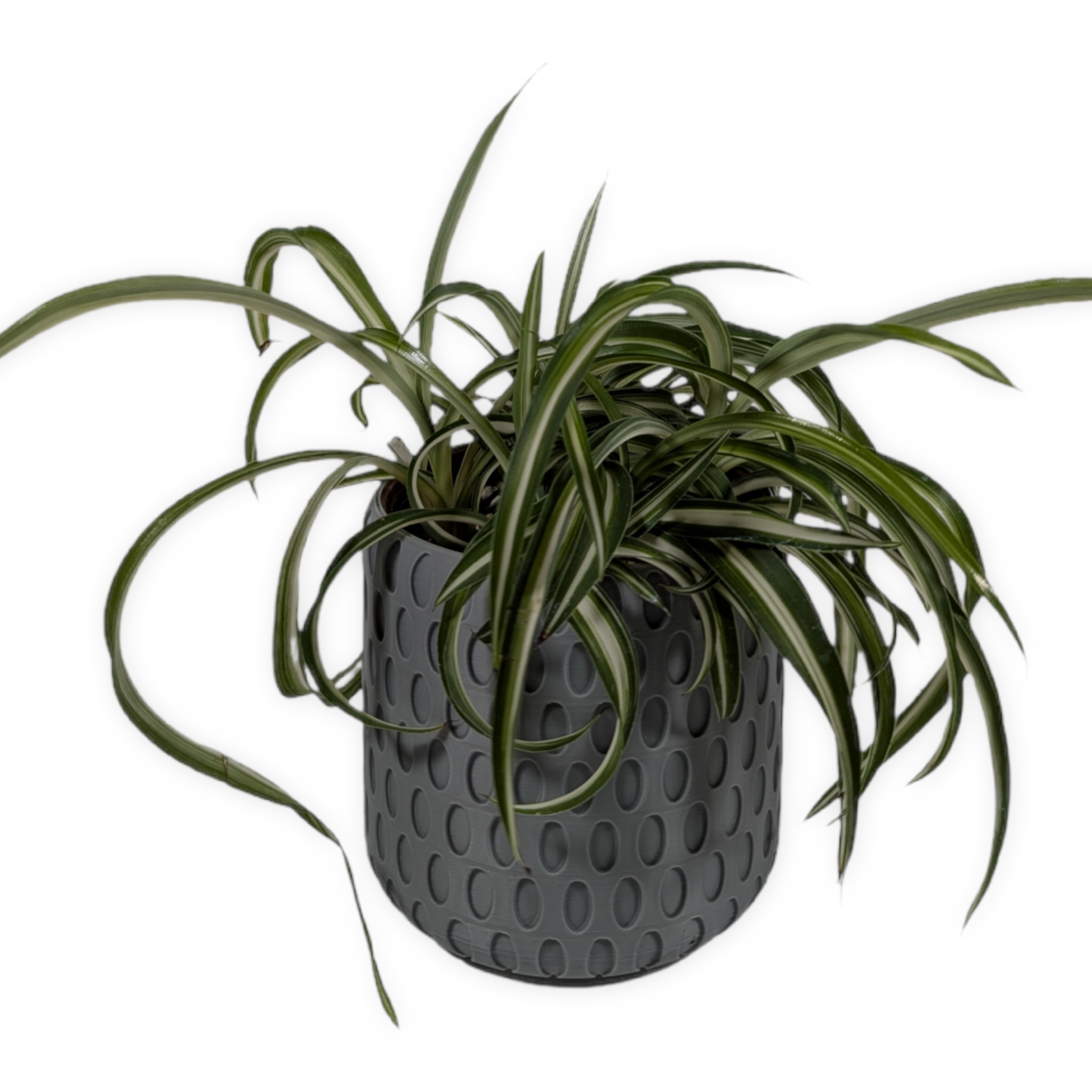 Leafprints.3d - Wholesale Plant Pot - The Bud - 4 Inch Planter with Drip Tray20