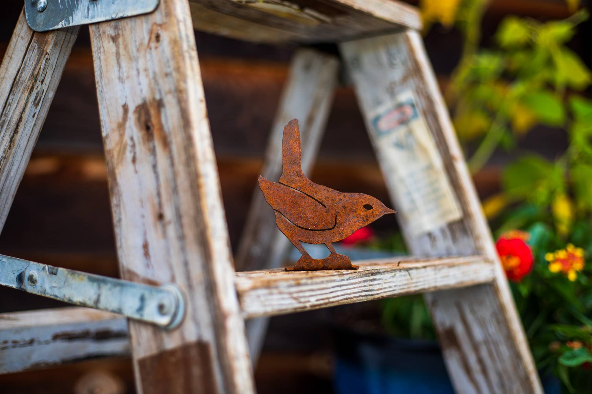 Elegant Garden Design - Vendita all'ingrosso Ornamenti/decorazioni per esterni - Scheda Scricciolo Invernale3