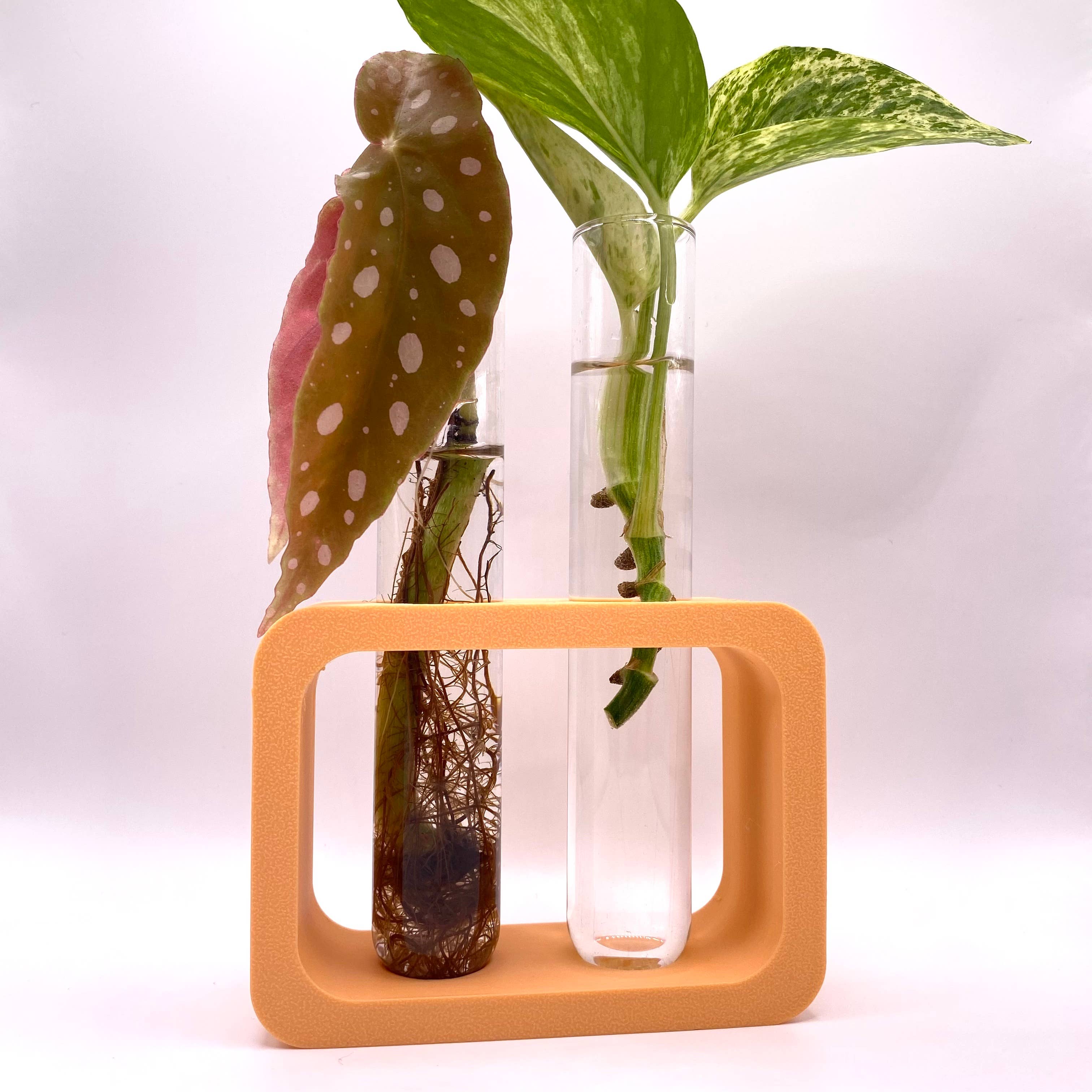 Plant Voyage - Vendita all'ingrosso Vasi per piante - Stazione di Propagazione Doppia Stampata in 3D, Accessorio per Piante6