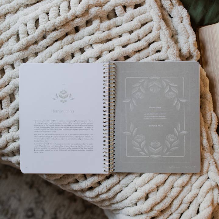 The Daily Grace Co - Wholesale Book - Adult - Jesus is Better: Living for the One Who is Worthy | A Study on the Book of Hebrews