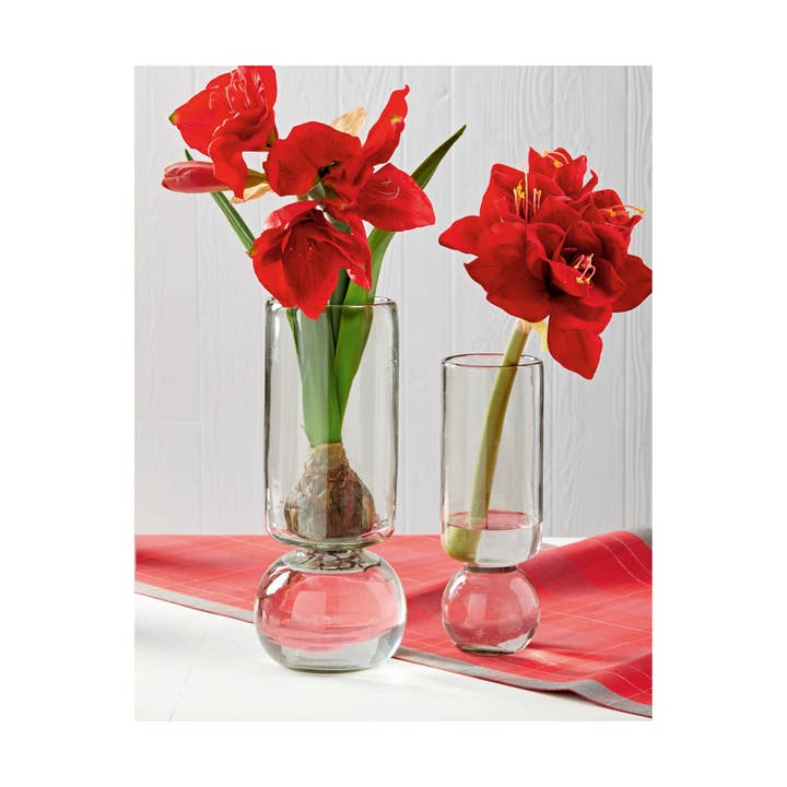 Amaryllis Recycled Clear Glass Vase Small for wholesale on Faire
