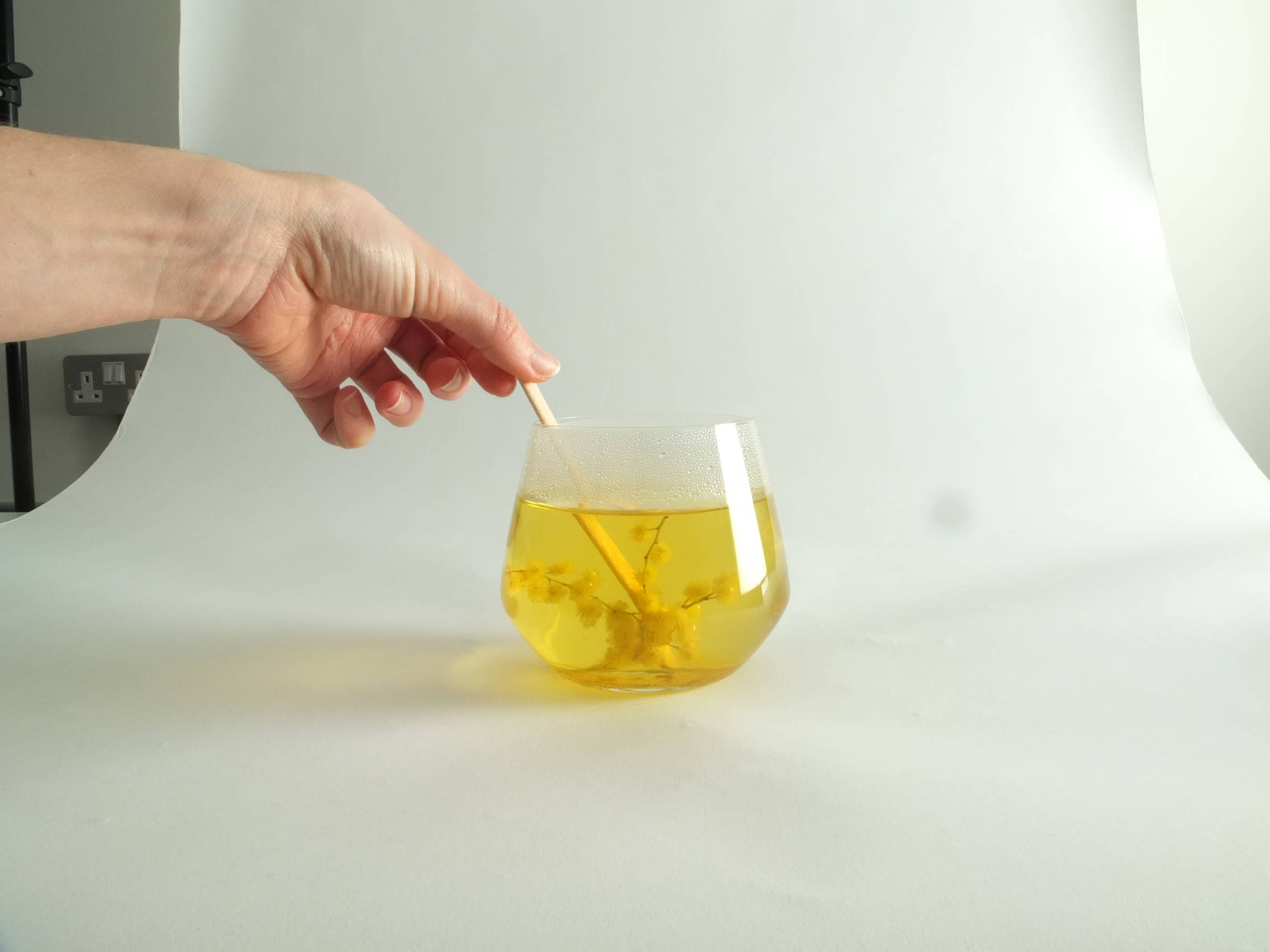 Fleurs d'hiver - Wholesale Loose Tea - Infusion lolly - Mimosa4