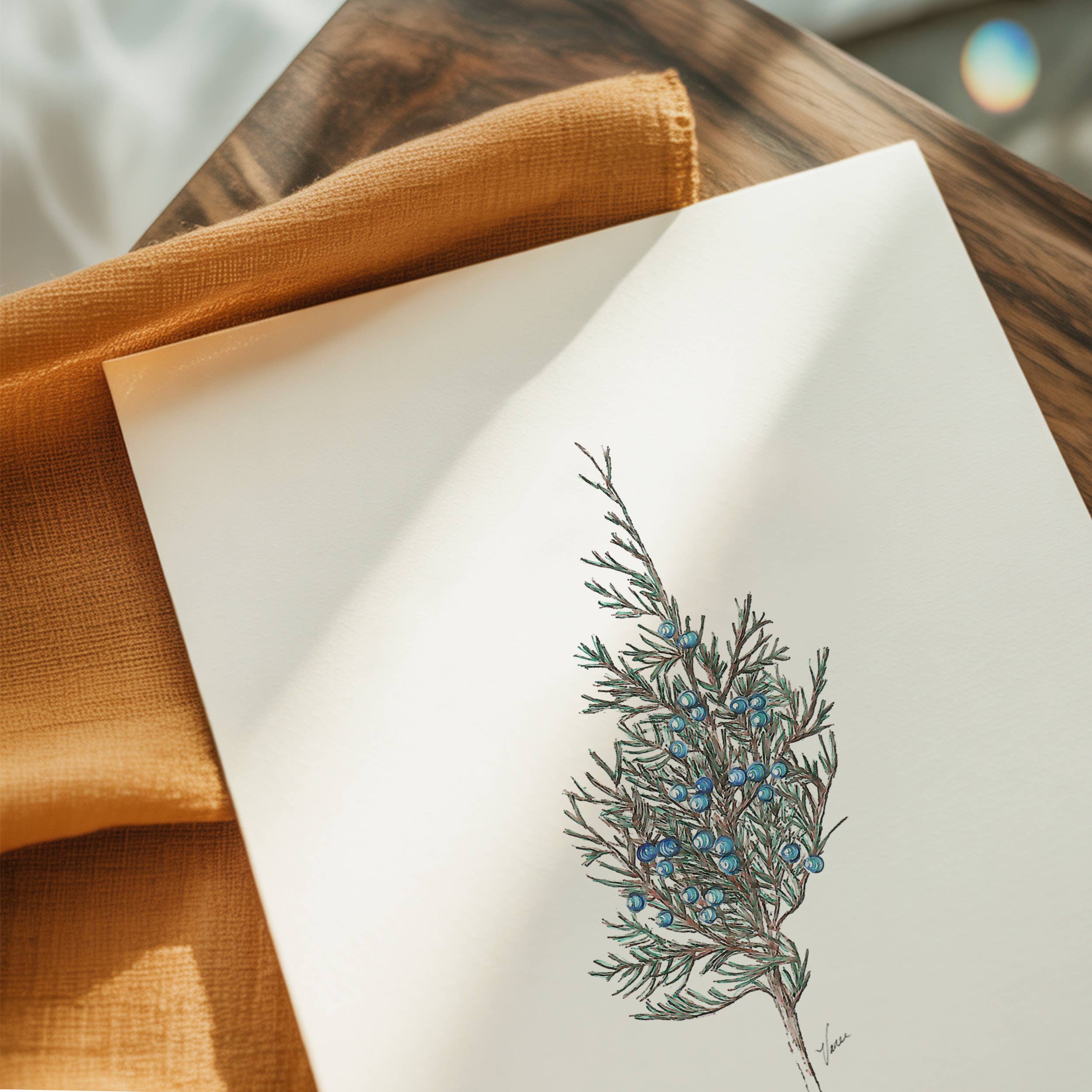 Vanee.ink - Wholesale Stationery/Notecard Set - Juniper Notecard1
