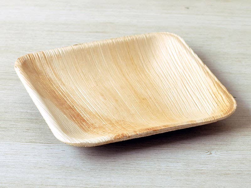 Dryleaf - Wholesale Dinner Plate -  Square Plate2