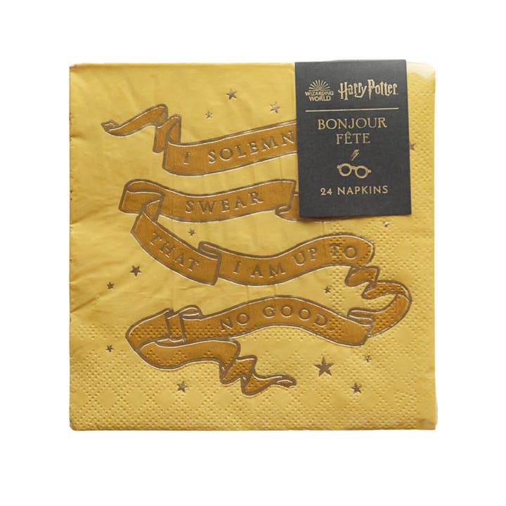 Bonjour Fête - Venta al por mayor Servilletas desechables - SERVILLETAS PARA FIESTAS PEQUEÑAS DE HARRY POTTER X BONJOUR FÊTE HOUSE PRIDE9