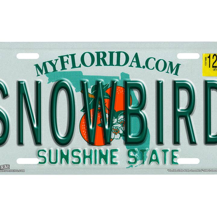 "Florida State Snowbird" - Decorative License Plate for wholesale by Airstrike
