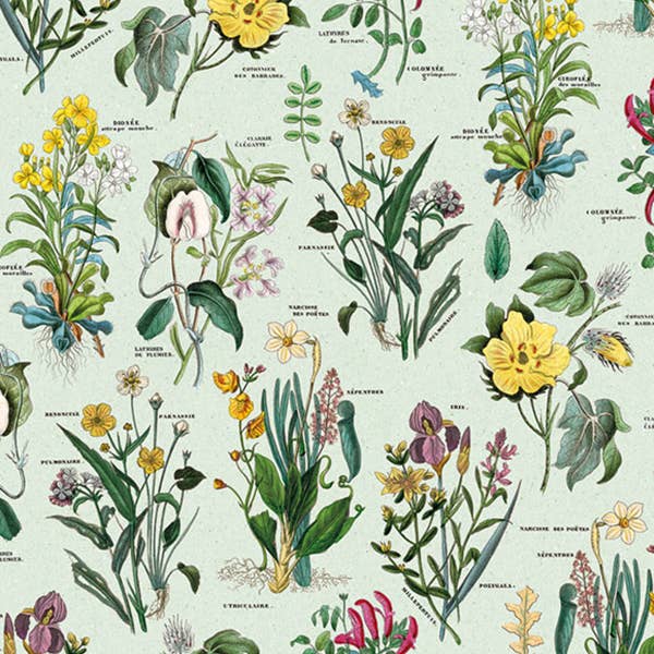 Flora - 70 x 100 cm for engroshandel hos Grafiche Tassotti