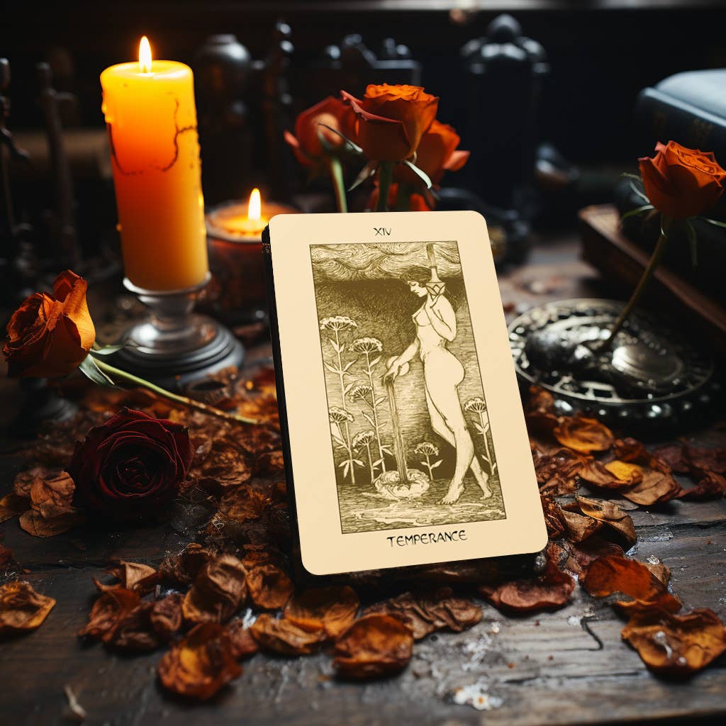 Darksynevyr - Wholesale Tarot Cards - Regal Shadow Tarot 78-2 Extra Cards Deck | Duty-Free EU/US6