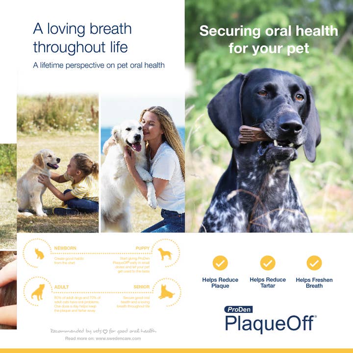 ProDen PlaqueOff - Wholesale Pet Food - Dog - ProDen PlaqueOff Product Flyers (Bundle of 25)2