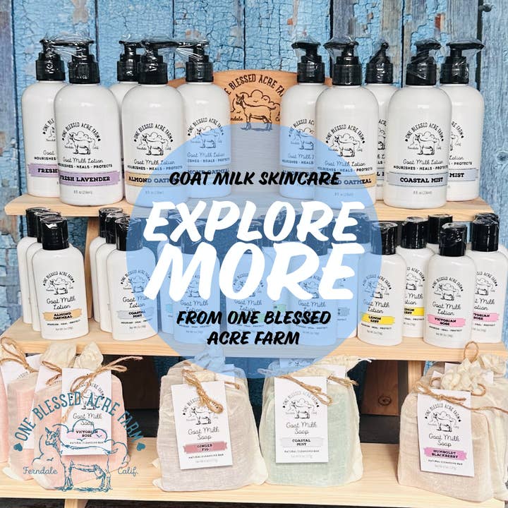 One Blessed Acre Farm - Wholesale Body Brush - Natural Beauty Supply Facial Dry Brush 9