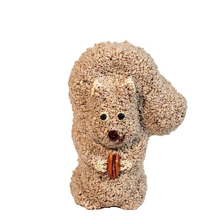 Nutzo Squirrel for wholesale by Mr Bird