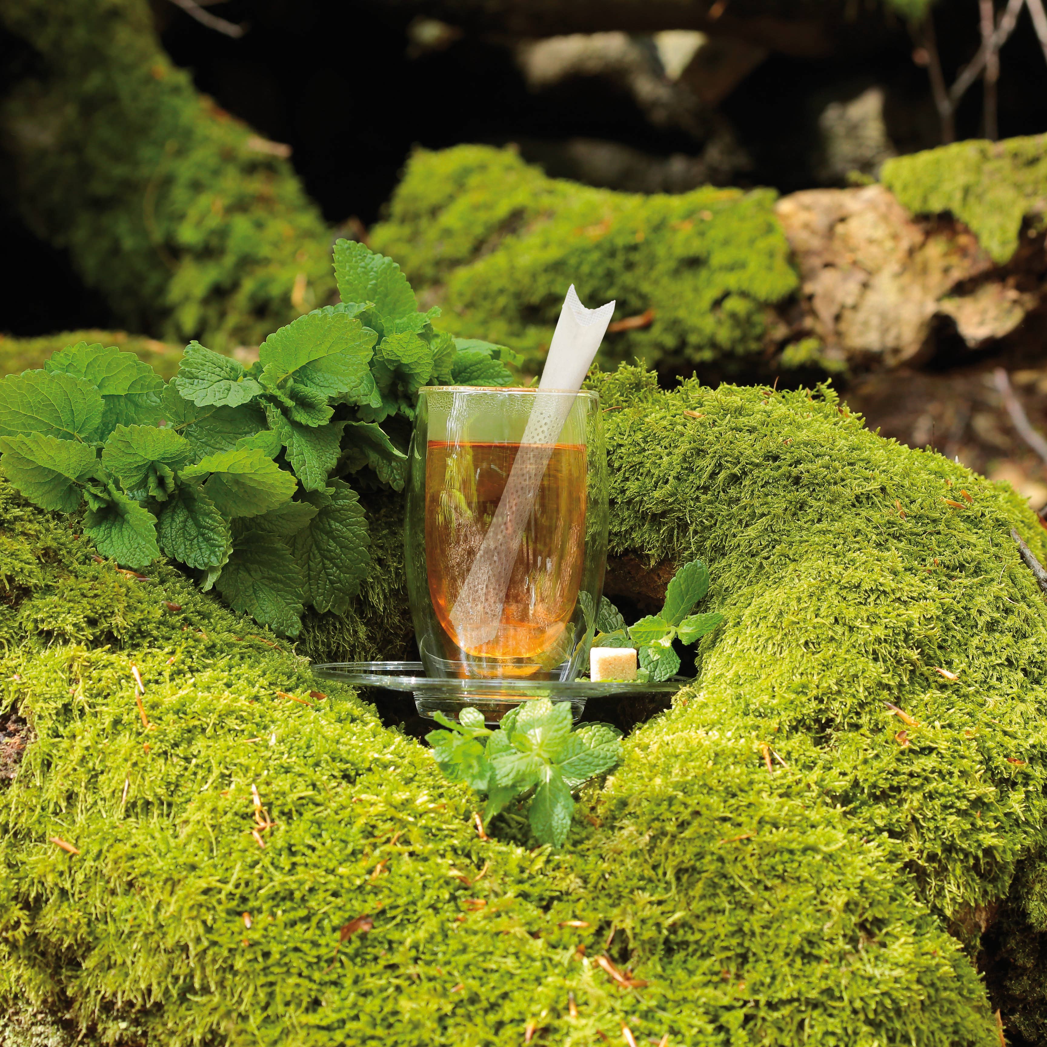 JOJO Geschenke - Vente Sachets de thé - Bâtons de thé bio0