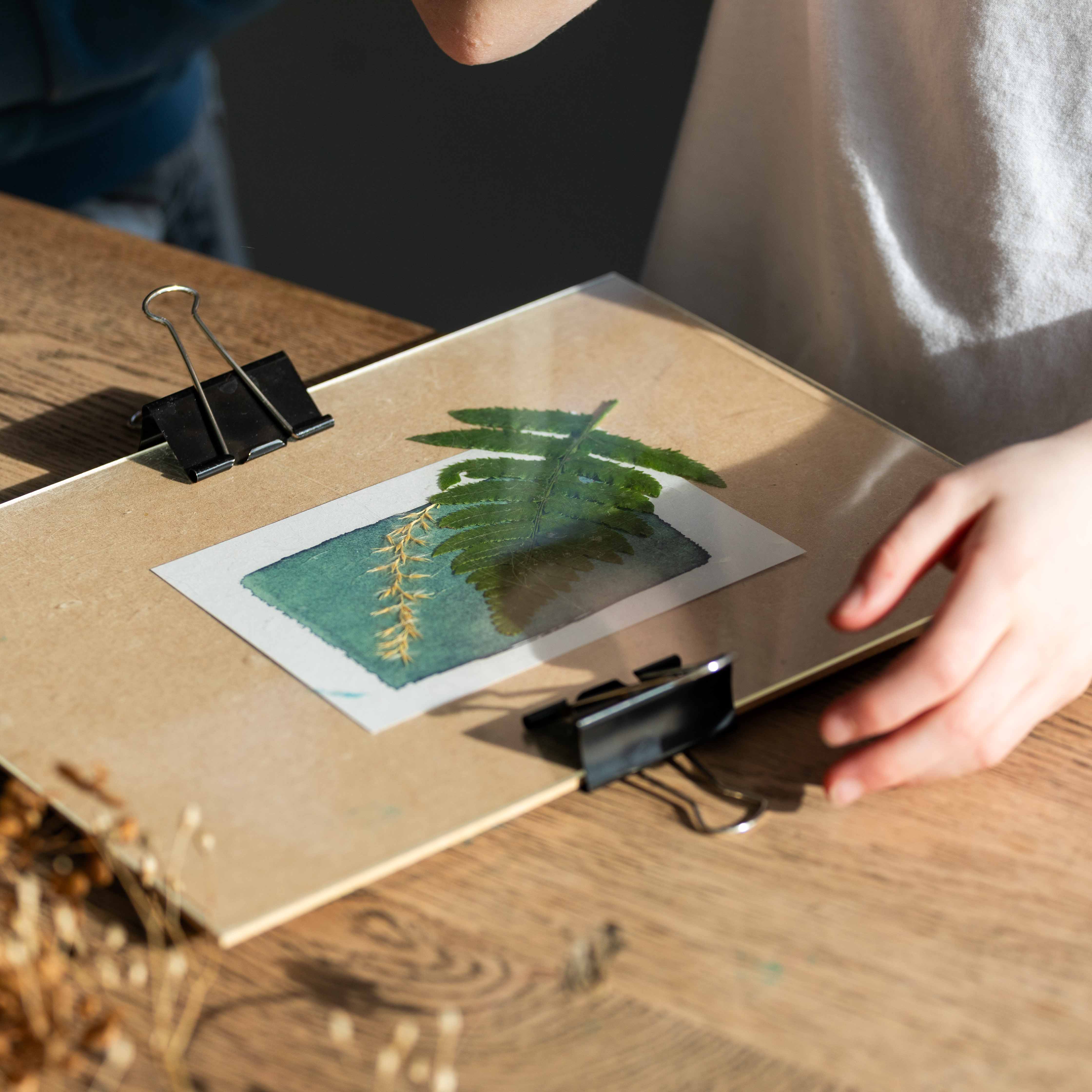 The Wild Darkroom – wholesale DIY craft kit – Cyanotype Printing Paper - A64