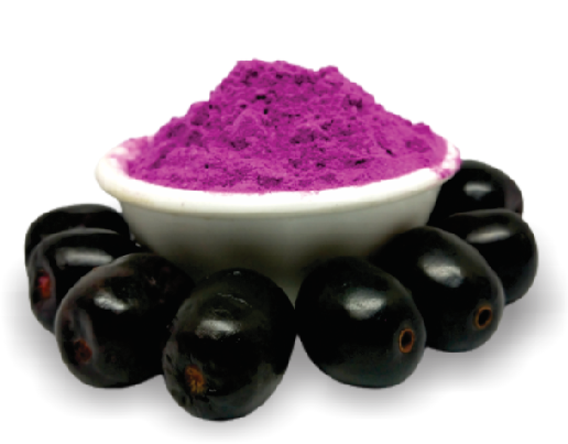 SATVIKZONE - Wholesale Protein/Superfood Powder - Java Plum Fruit Powder 100% Natural1