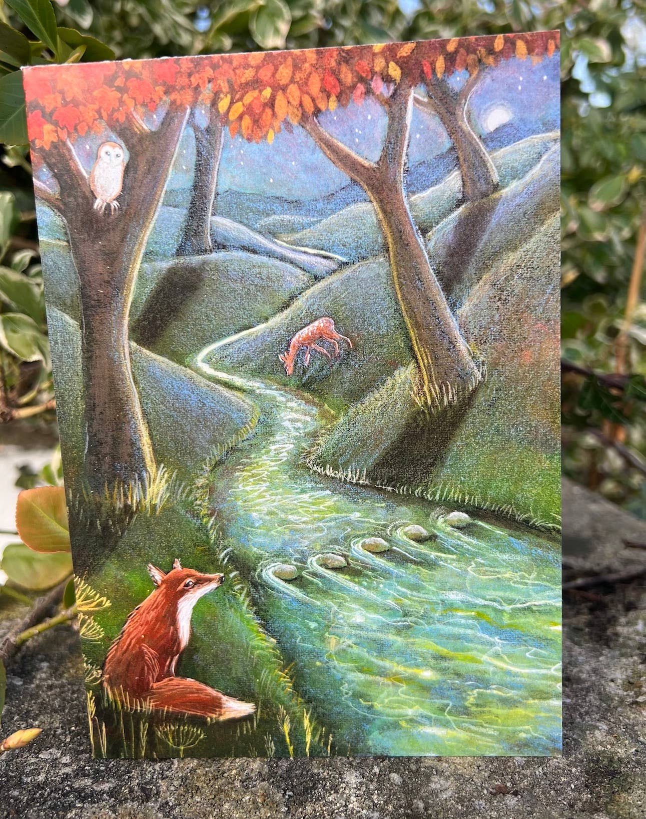 Hannah Willow Art – Cartão de saudação diária por atacado – Cartão de Saudações À Beira do Rio1