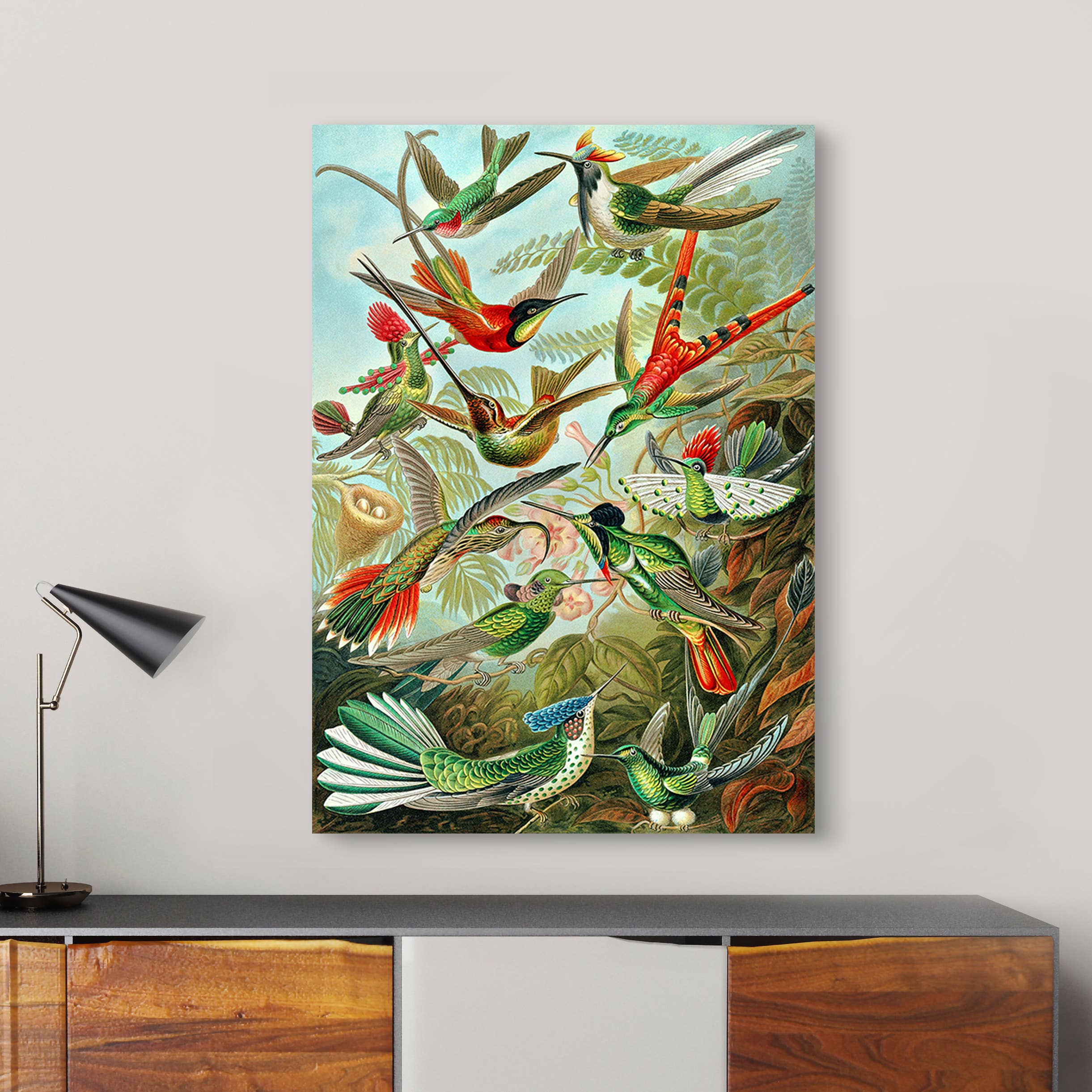 Selected Artworks Italia - Wholesale Art Print - Botanical painting, canvas print: Ernst Haeckel, Trochilidae