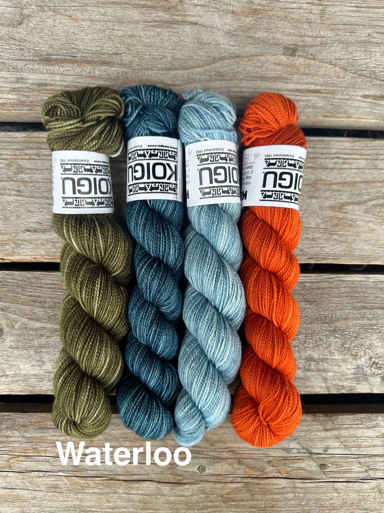 Koigu Wool Designs - Wholesale Yarn - Clint Shawl Yarn Packs By moonstruck knits0