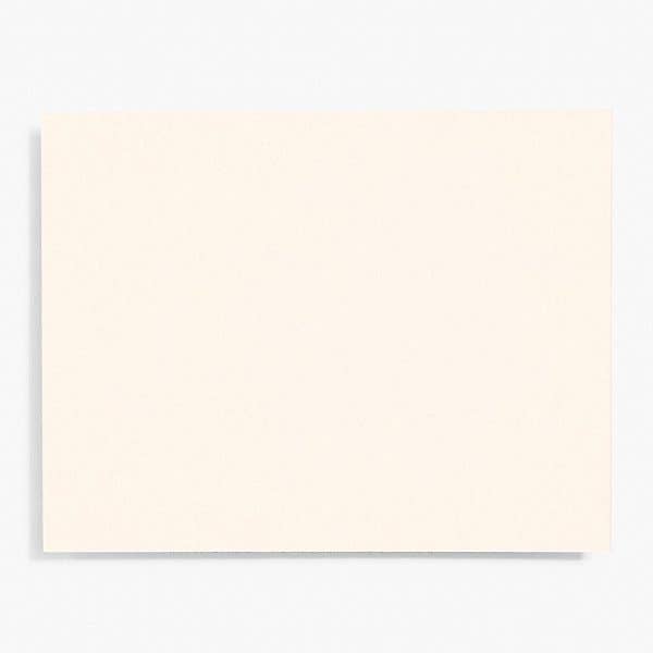 Paper Source Wholesale - Wholesale Stationery/Notecard Set - A2 Note Card Bulk Pack (100 pack)3