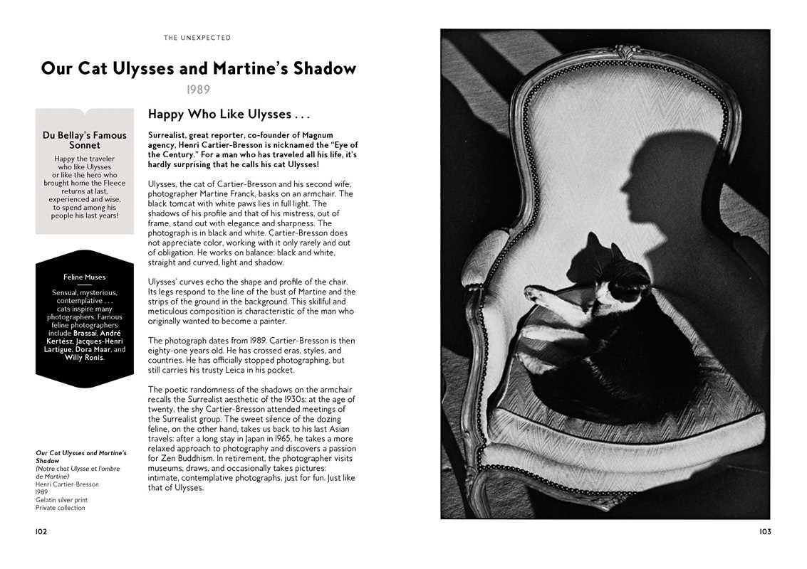 Simon & Schuster - Wholesale Arts & Entertainment - Cats in Art by Alix  Paré10