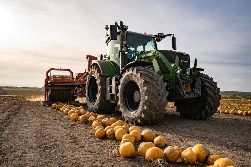 SuperSeedz - Wholesale Nuts - 5oz Sea Salt European Pumpkin Seeds NO SHELLS5