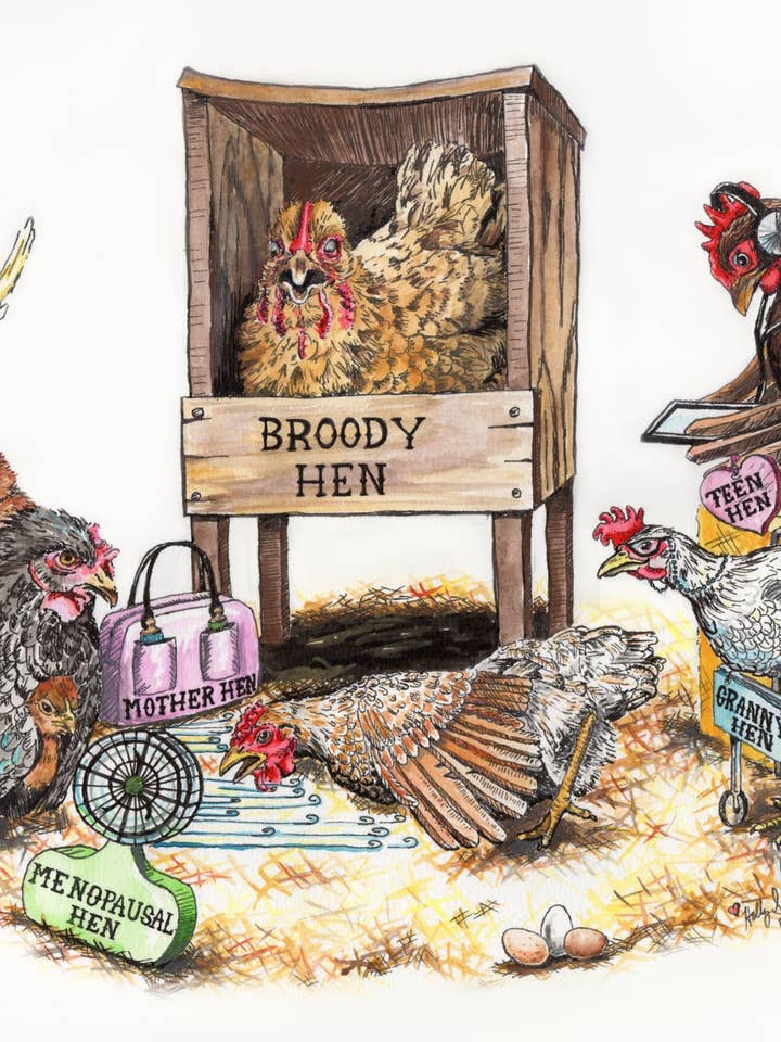 Funny Chicken Watercolor Signed Archival Art Print for wholesale by Holly Simental