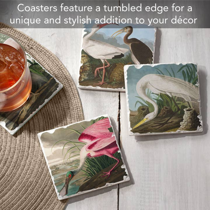 CounterArt/Highland Home/Thirstystone/CoasterStone - Wholesale Coasters - Fine Art "John James Audubon" 4pk Asst. Stone Coasters 1