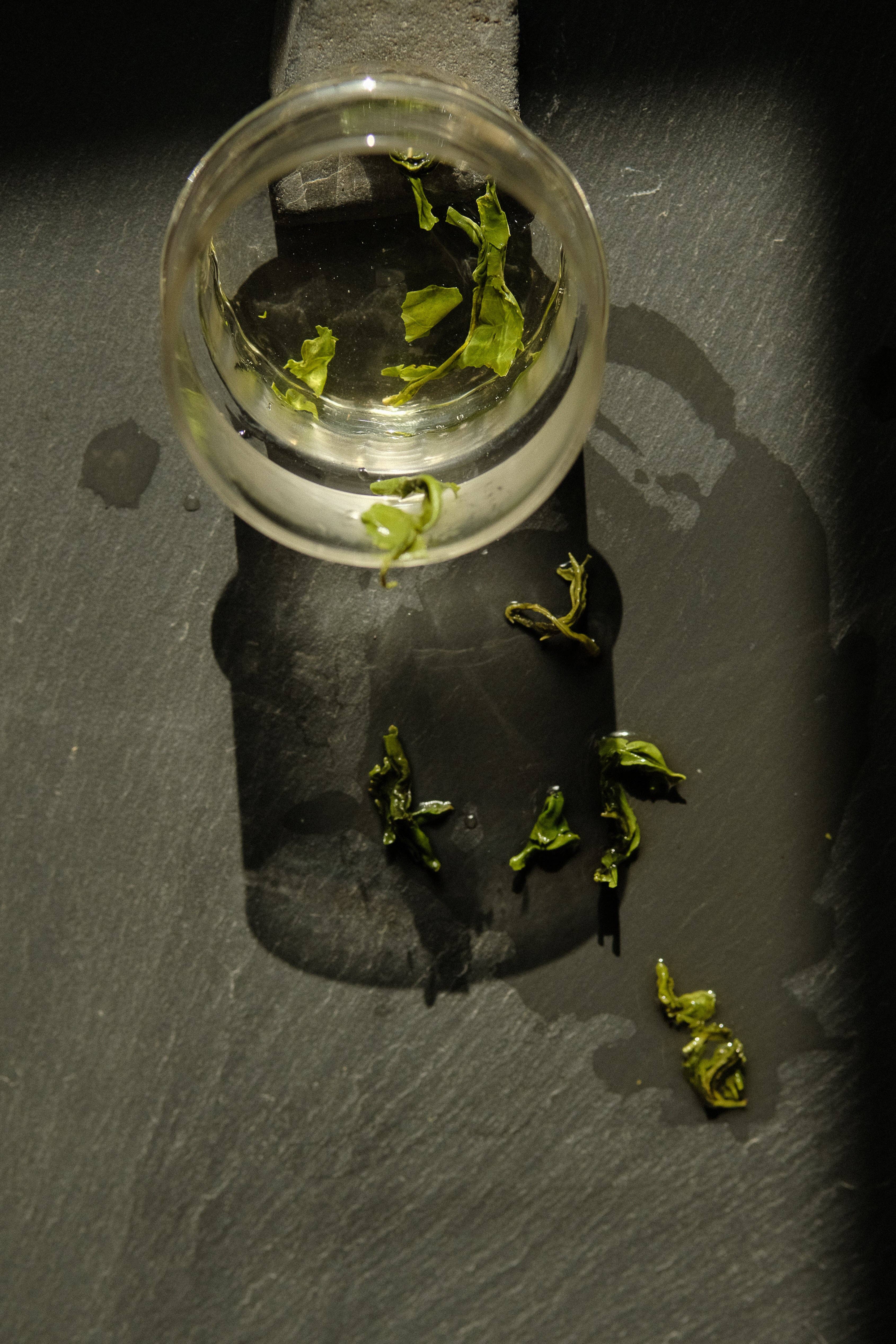 Leaves & Flowers - Wholesale Loose Tea - Jasmine Dew Wholesale1