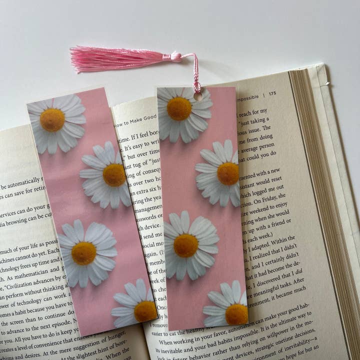 Daisy for wholesale by Amanda Alvelo