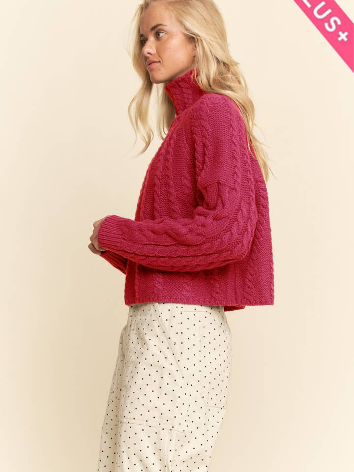Davi & Dani - Wholesale Knit Sweater - Women's - PLUS CABLE KNIT TURTLENECK KNIT TEXTURE SWEATER18