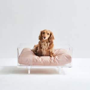 Purchase Wholesale orthopedic dog bed. Free Returns & Net 60 Terms on Faire