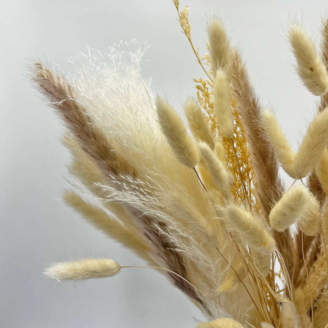 2626 Designs - Wholesale Dried/Pressed Flowers - Real Preserved Mixed Bouquets Mix 8 Small - Med - Large6