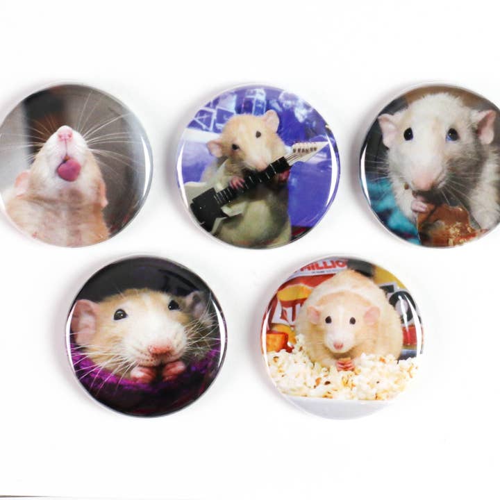 SET: Pinback-Buttons oder Magnete mit Rattenbild für den Großhandel von Ifs, Ands, Or Buttons